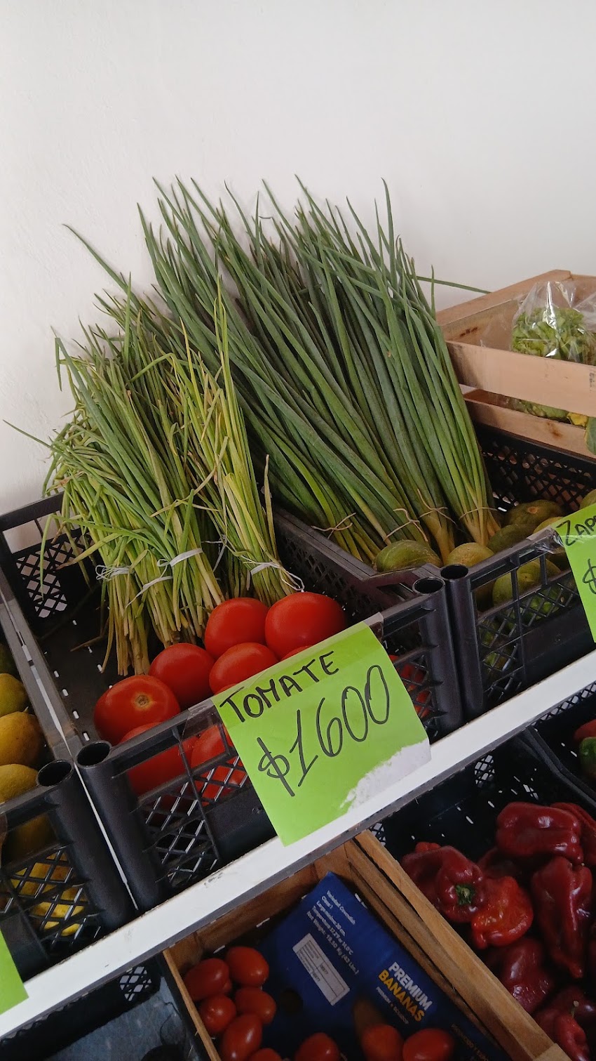 BZ frutas y verduras